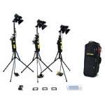 Dedolight KD3B (KD-3B) 3 head basic 24v Lighting Kit in deluxe DSC2 soft case (non-wheeled case) Dedolight KD3B (KD-3B) 3 head basic 24v Lighting Kit in deluxe DSC2 soft case (non-wheeled case)