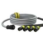 Dedolight DPOW4X (DPOW-4X) Multi Conductor Cable for powering DLH1x150S from classic dedolight power supplies Dedolight DPOW4X (DPOW-4X) Multi Conductor Cable for powering DLH1x150S from classic dedolight power supplies