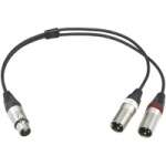 Sony EC-0.5X5F3M (EC0.5X5F3M, K-104) Microphone Cable 5-Pol XLR female to 2x 3-Pol XLR male Sony EC-0.5X5F3M (EC0.5X5F3M, K-104) Microphone Cable 5-Pol XLR female to 2x 3-Pol XLR male