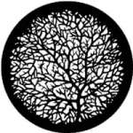 rosco 77777 (DHA 106) Bare Branches 2 gobo by David Hersey in M size (compatible with dedolight projection system) rosco 77777 (DHA 106) Bare Branches 2 gobo by David Hersey in M size (compatible with dedolight projection system)