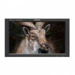 TV Logic SWM-240A (SWM240A) 24 Inch Studio Wall Monitor with 1920 x 1200 Resolution TV Logic SWM-240A (SWM240A) 24 Inch Studio Wall Monitor with 1920 x 1200 Resolution