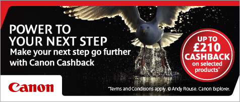 Spring Cashback Spring Cashback