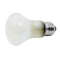 Elinchrom EL23002 100W E27 Super Leuci Modelling Lamp (EL-23002)