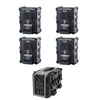 IDX IP-98/4Se (IP984Se) 4x IPL-98 Endura Lithium-Ionen-Akkus und 1x VL-4SE Gleichzeitiges Ladegerät