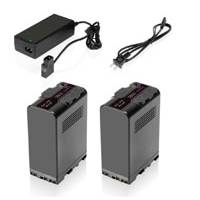 SHAPE 2BPUCH (2-BPUCH) BP-U100 Ion de litio 98 Wh, 14,4 V, 6800 mAh Dos baterías con cargador de viaje