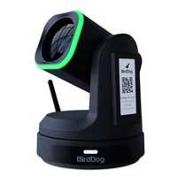 BirdDog X1 Ultra UHD PTZ Camera - Black (p/n BDPX1UB)