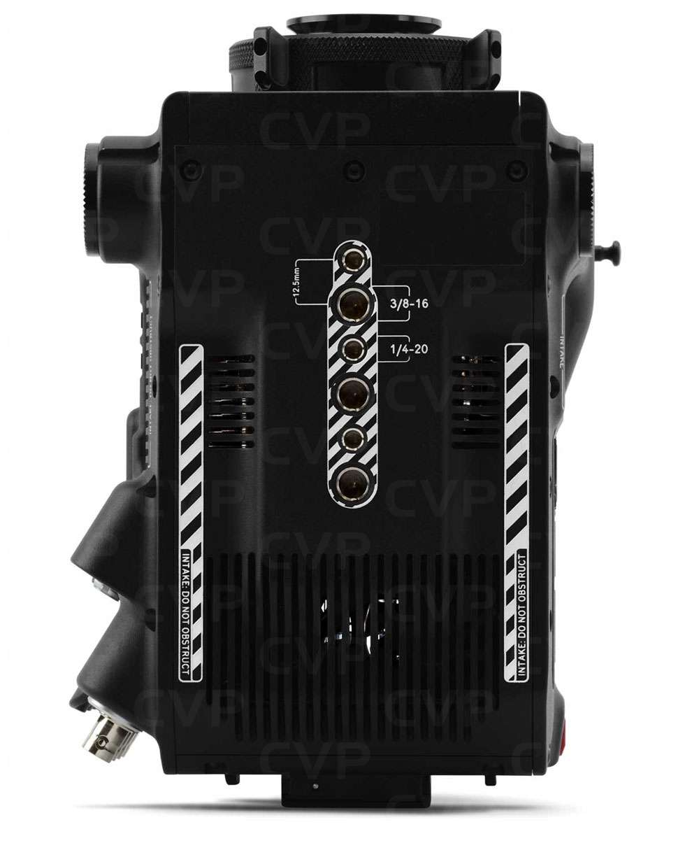 Red Gold Mount V Raptor Xl 8K | CVP
