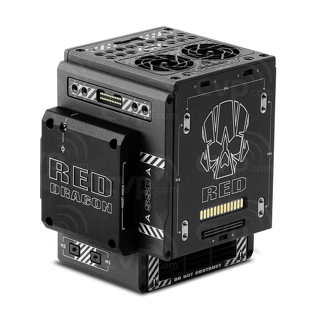 Buy RED SCARLETW Brain (7100242STD)