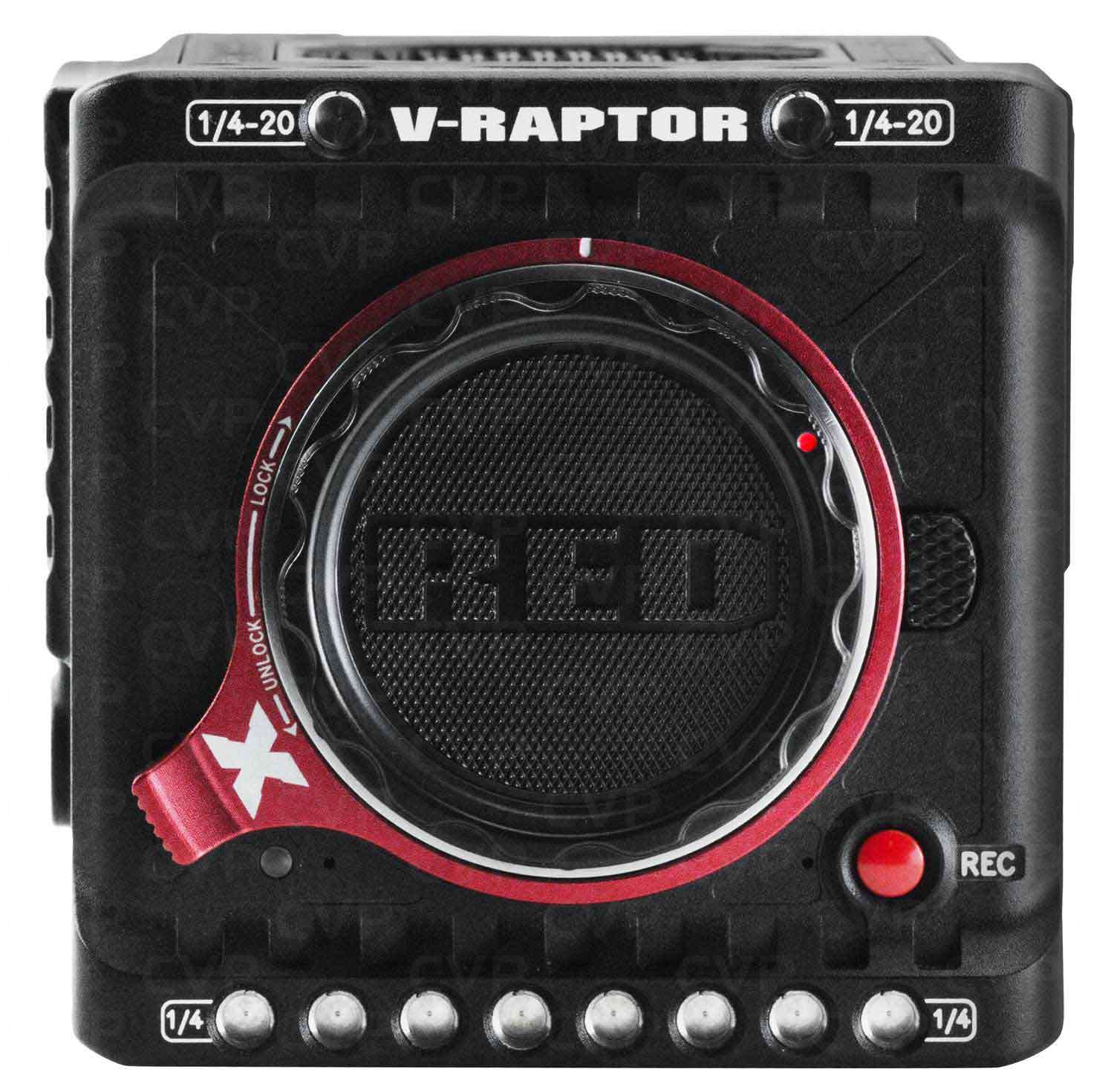 RED V-RAPTOR (X) 8K VV RF Mount Photo