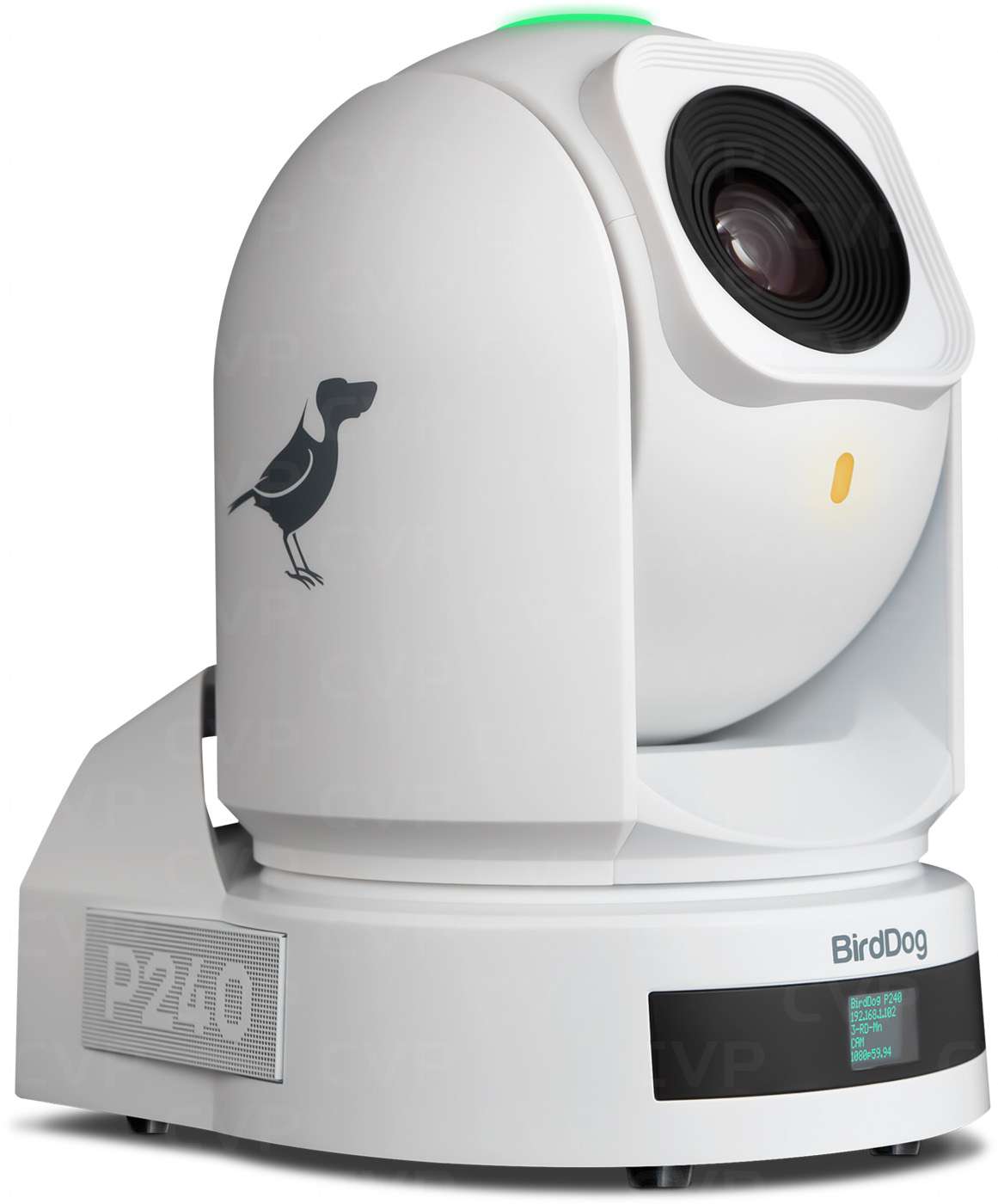 BirdDog 3x P420 White and PTZ Keyboard Photo