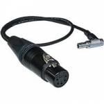 Beachtek BT-LEMO (BTLEMO) 5-Pin XLR to 5-Pin Lemo-Type Cable - 45cm Beachtek BT-LEMO (BTLEMO) 5-Pin XLR to 5-Pin Lemo-Type Cable - 45cm