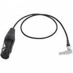 Wooden Camera Alexa Mini Audio Cable - 00 LEMO-Type to 5-Pin XLR - 46cm (p/n 239700) Wooden Camera Alexa Mini Audio Cable - 00 LEMO-Type to 5-Pin XLR - 46cm (p/n 239700)