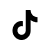 TikTok Logo